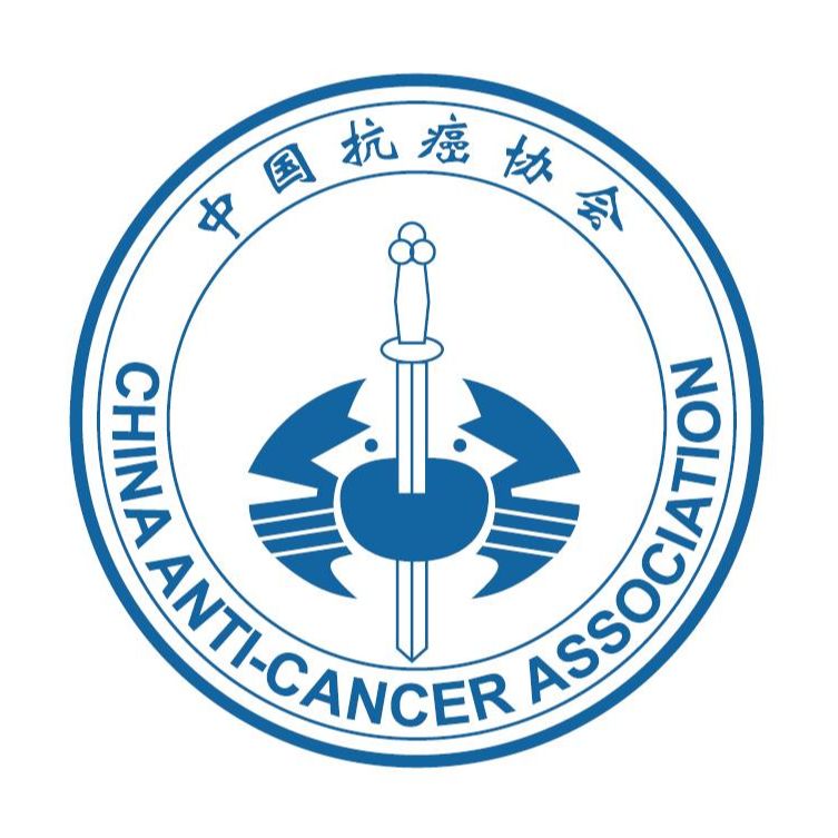 8868体育